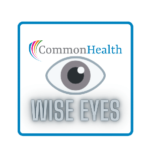 Logo ng Wise Eyes
